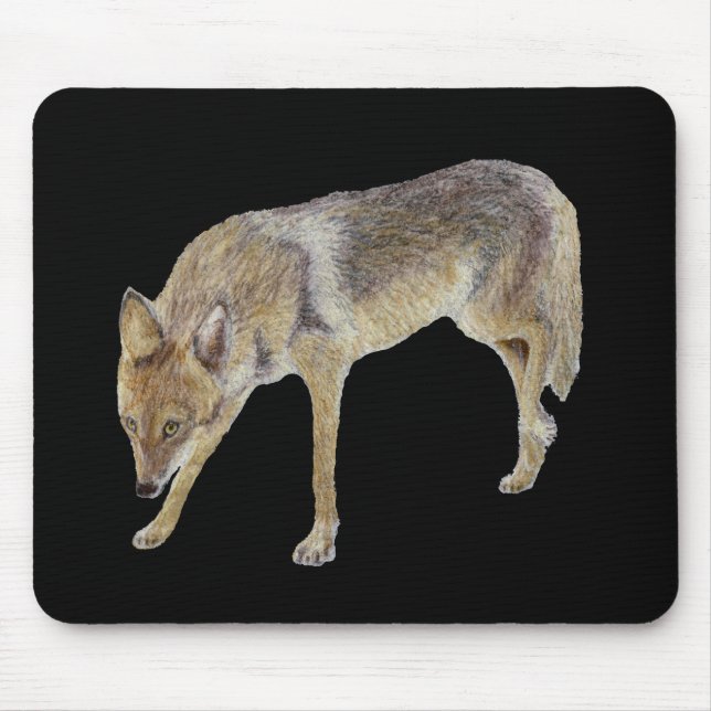 Tapis De Souris Coyote (Devant)