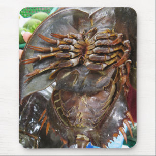 Tapis De Souris Crabe à fer à cheval ... Restauration asiatique th