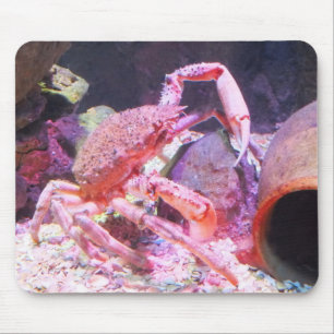 Tapis De Souris Crabe araignée