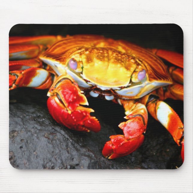 Tapis De Souris Crabe de Galapagos (Devant)