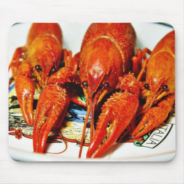 Tapis De Souris Crawdads Craytfish d'écrevisses (Devant)