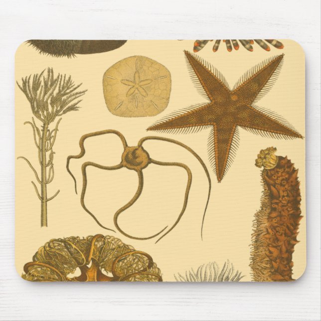 Tapis De Souris Créatures sous-marines (Devant)