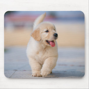 Tapis De Souris Créez votre propre animal de compagnie personnalis