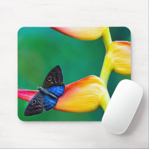 Tapis De Souris Créez votre propre Modèle photo personnalisé perso