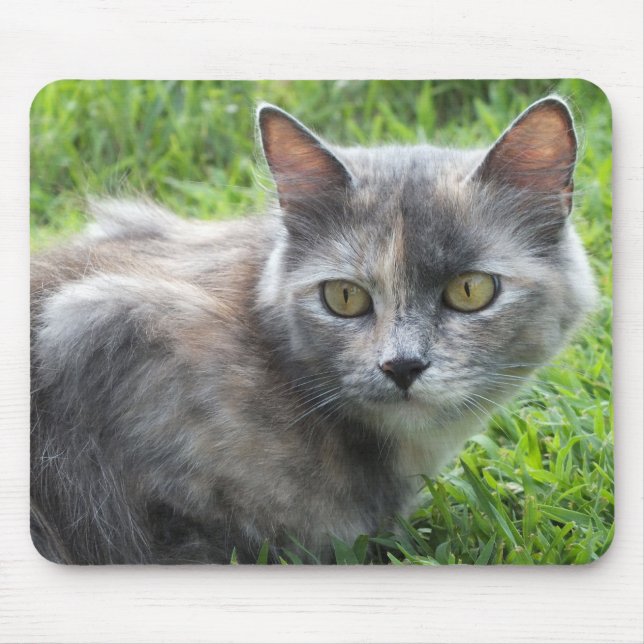 Tapis De Souris Crème Bleue - Tortie Kitty Pad (Devant)