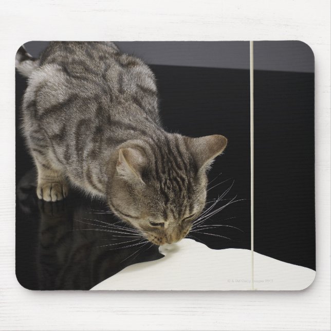 Tapis De Souris Crème de chat tabby argenté du sol (Devant)