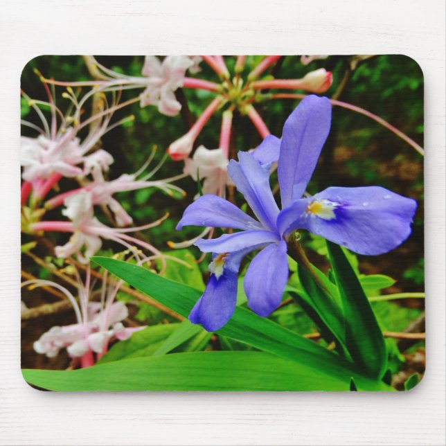 Tapis De Souris Crested Dwarf Iris (Devant)