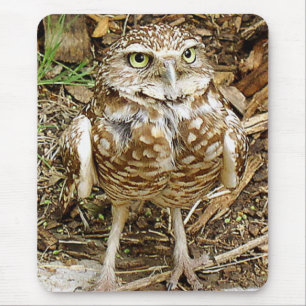 Tapis De Souris Creuser le hibou Mousepad