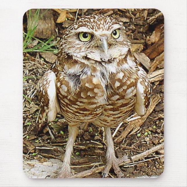 Tapis De Souris Creuser le hibou Mousepad (Devant)