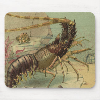 Tapis De Souris Crevettes, Vie sous-marine, Animaux de l'océan vin