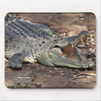 Tapis De Souris Crique Croc de halls