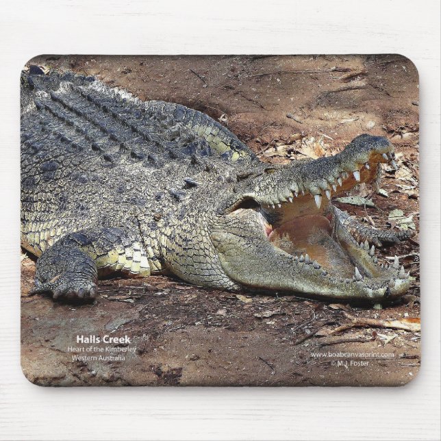 Tapis De Souris Crique Croc de halls (Devant)