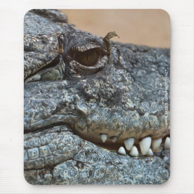 Tapis De Souris Crocodile (Devant)
