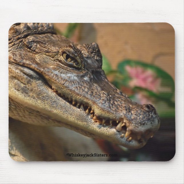 Tapis De Souris Crocodile (Devant)