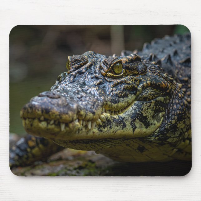 Tapis De Souris crocodile (Devant)