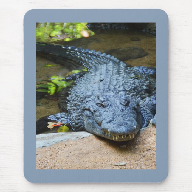 Tapis De Souris Crocodile (Devant)