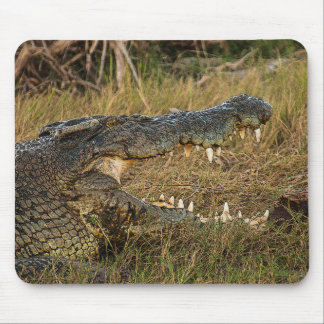 Tapis De Souris Crocodile