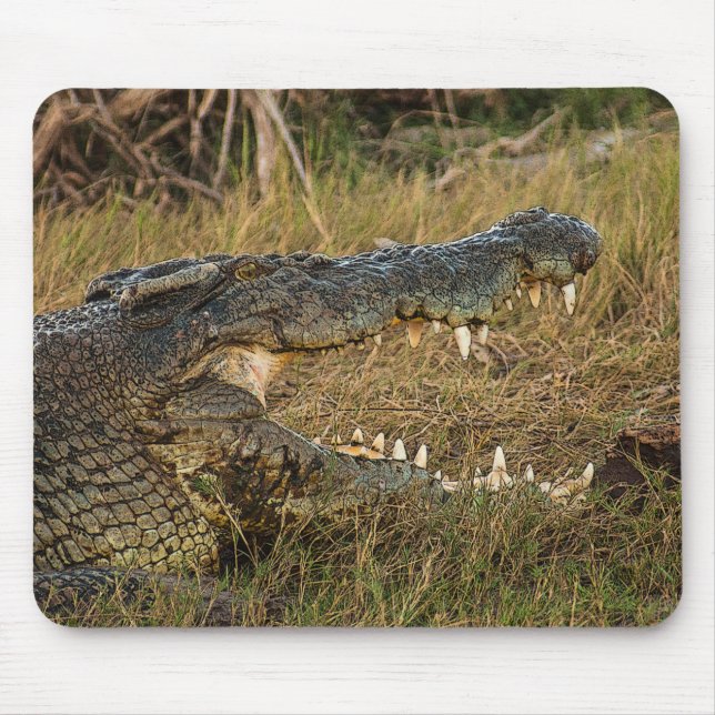 Tapis De Souris Crocodile (Devant)