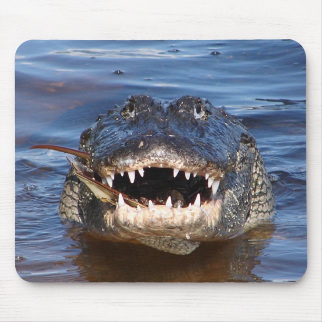 Tapis De Souris Crocodile de sourire (Devant)