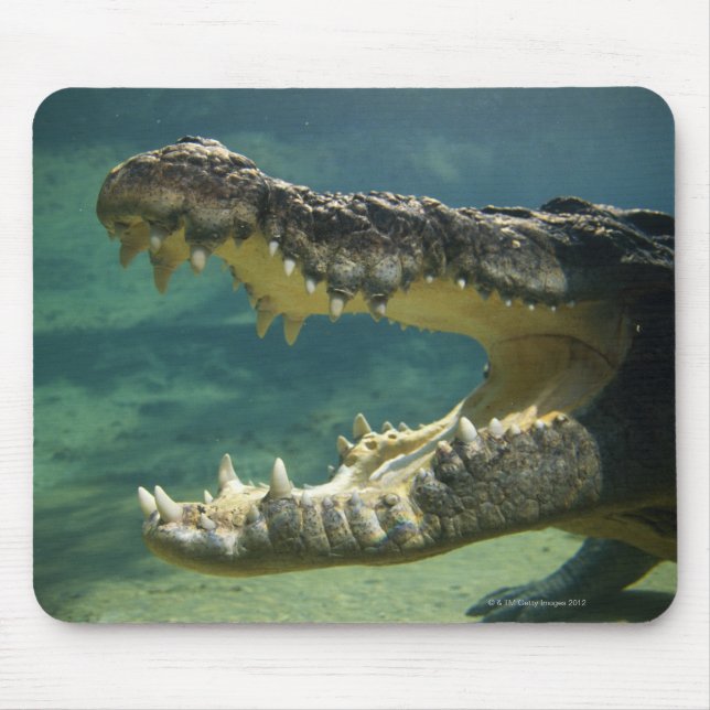 Tapis De Souris Crocodiles bouche ouverte (Devant)