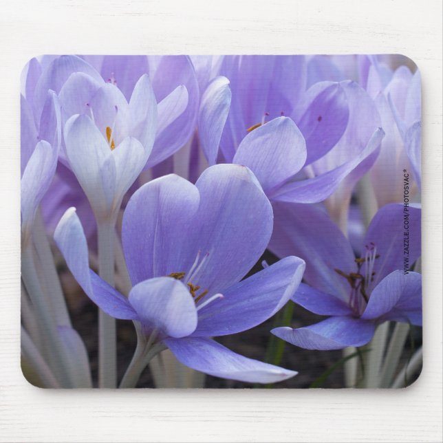 Tapis de souris Crocus (Devant)