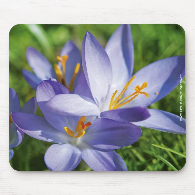 Tapis De Souris Crocus (Devant)