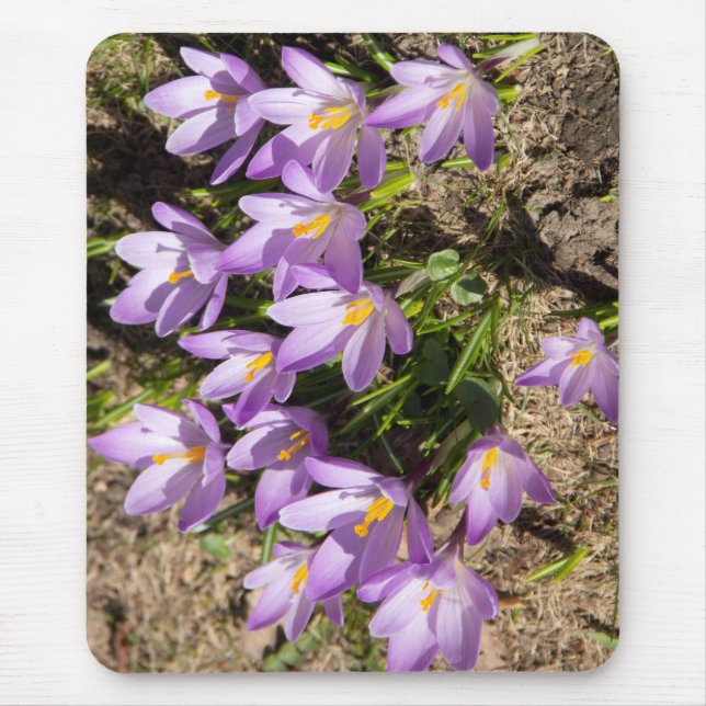 Tapis De Souris Crocus de printemps mignons (Devant)