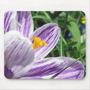 Tapis De Souris Crocus de printemps violet