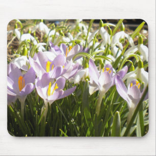 Tapis De Souris Crocus et perce-neiges pourpres Mousepad