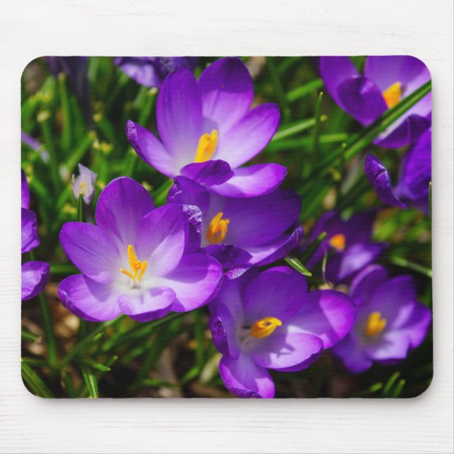 Tapis De Souris Crocus Lilac (Devant)
