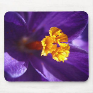 Tapis De Souris Crocus pourpre