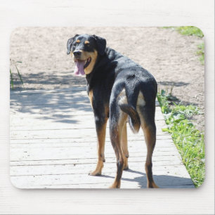 Tapis De Souris Croix de rottweiler et de berger allemand