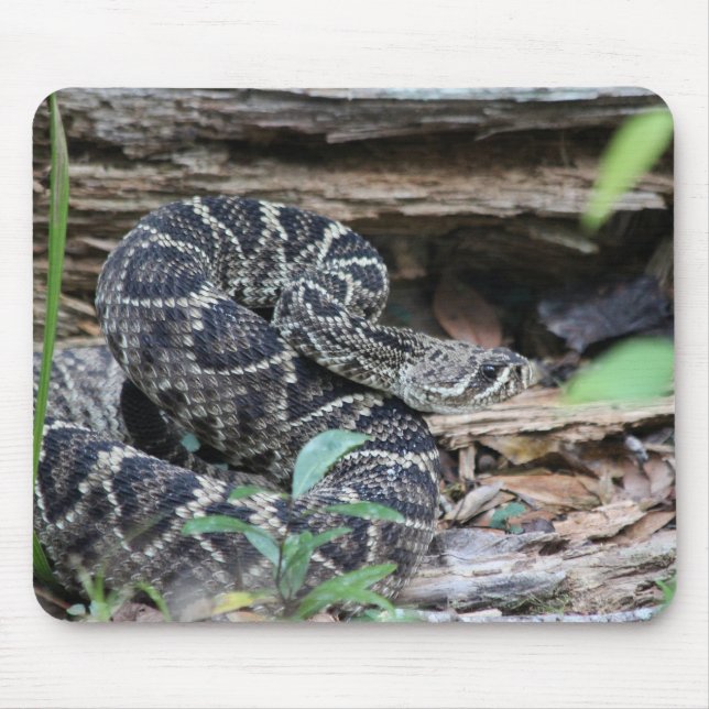 Tapis De Souris Crotale (Devant)