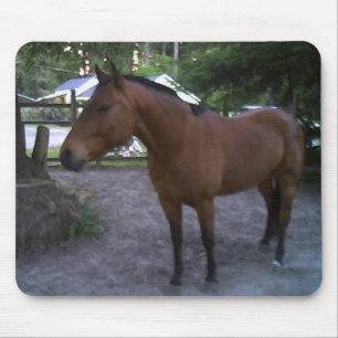 Tapis De Souris Cruz appelé par cheval