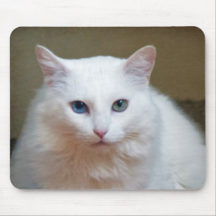 Tapis De Souris Crystal