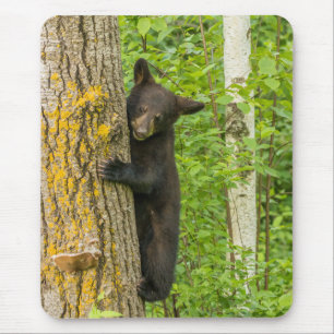 Tapis De Souris Cube d'ours noir   Minnesota