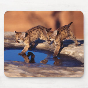 Tapis De Souris Cubes de Lion Pad-Mountain