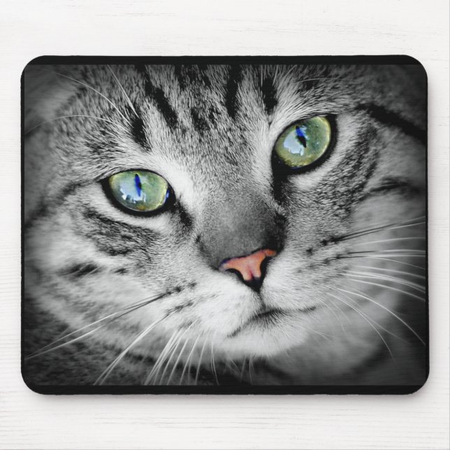 Tapis De Souris Cuisine Gris Kitty Chat Visage Souris Pad (Devant)