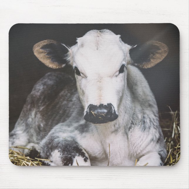 Tapis De Souris Culture occupée de jour (Devant)