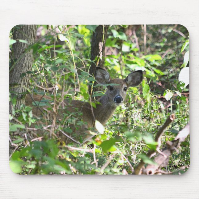 Tapis De Souris Curieux cerf de Virginie (Devant)