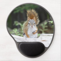 Tapis de souris curieux de gel d'écureuil rouge