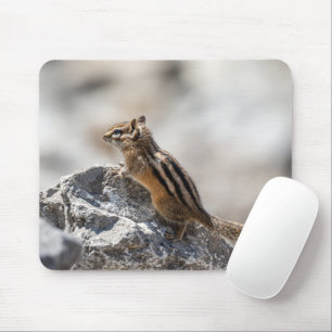 Tapis De Souris Curious Chipmunk - Canadian Wildlife Photography
