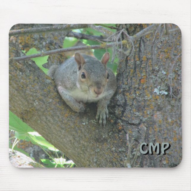 Tapis De Souris Curious Squirrel in Tree with Your Initials (Devant)