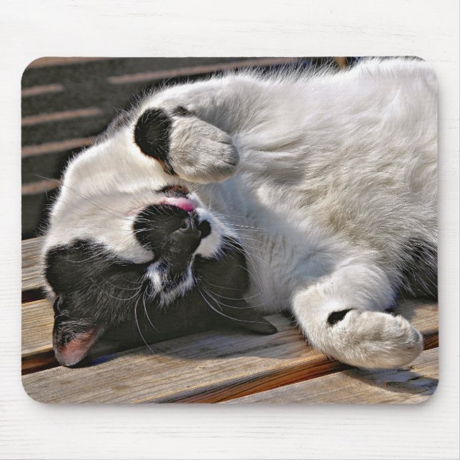 TAPIS DE SOURIS CUT CAT (Devant)