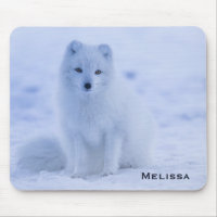 Cute Arctic Fox sur Snowy Winter Arrière - plan