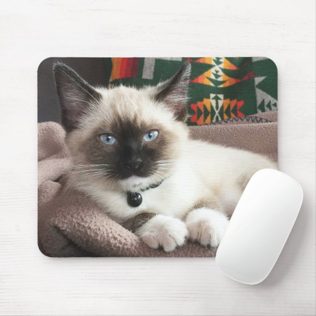 Tapis De Souris Cute Blue-Eyed Siamese Kitten Photo (Avec souris)