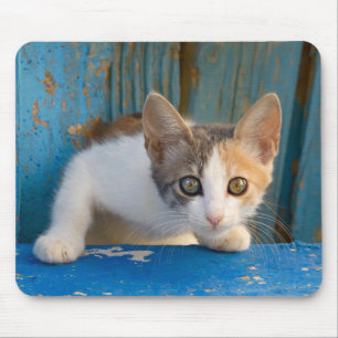 Tapis De Souris Cute Calico Chat Kitten Drôle Eyes Curieux Photo