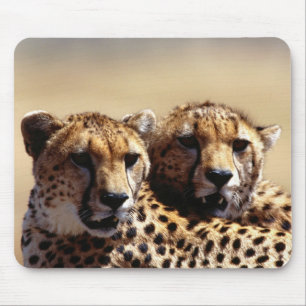 Tapis De Souris Cute Cheetah Paire de souris