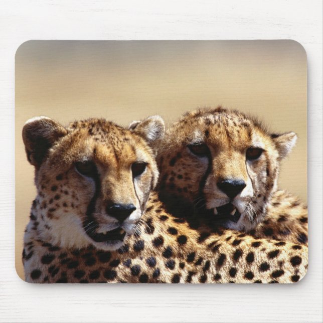 Tapis De Souris Cute Cheetah Paire de souris (Devant)