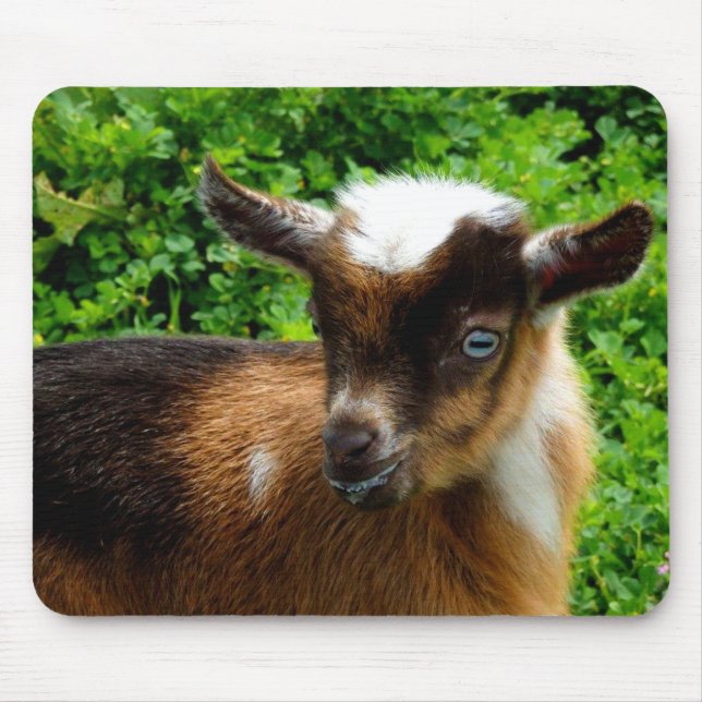 Tapis De Souris Cute chèvre laitière naine nigériane enfant (Devant)